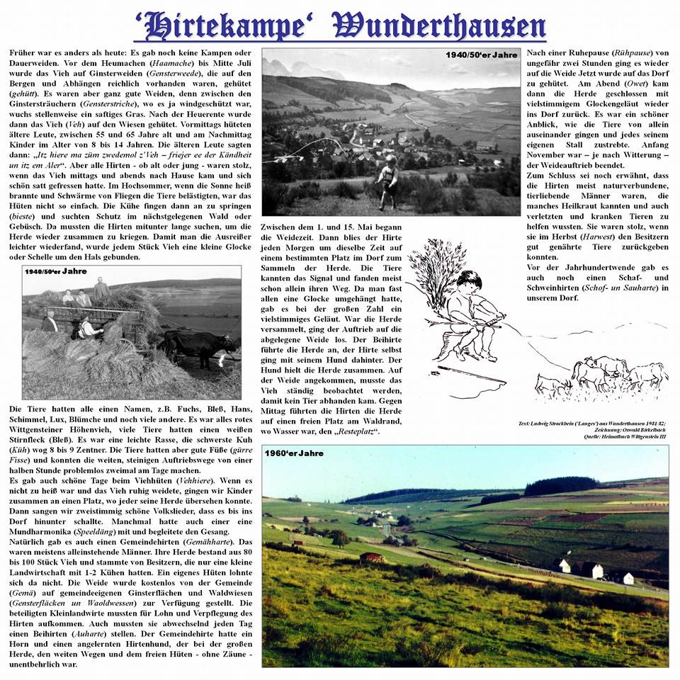 Hirtekampe Wunderthausen